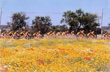 Radgruppe mit Blumenwiese im März