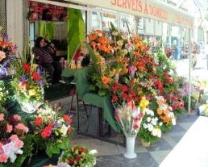 Blumenmarkt auf der Rambla in Palma