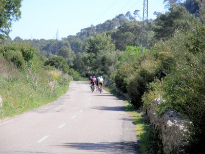 Radgruppe unterwegs bei Porreres