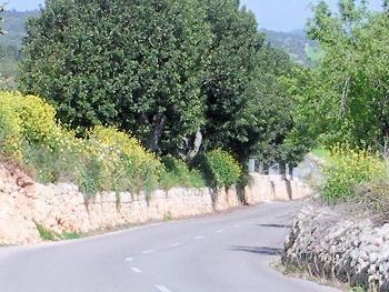 Typische Straßenführung im Inselinneren; wenig befahrene Landstraße in der Nähe von Pina