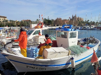 Fischereihafen in Palma